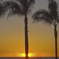 320-8351--8353 Coronado Sunset HDR.jpg